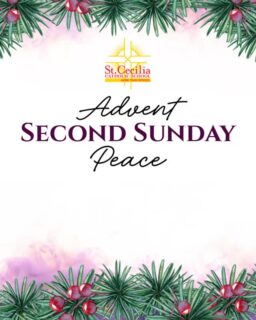 On this Second Sunday of Advent, we light the Candle of Peace, remembering that true and lasting peace comes from Christ. 🕯️
 May His light guide our hearts and steps as we prepare for His coming.

#morethanschool #occatholicschools #occatholic #catholicedoc